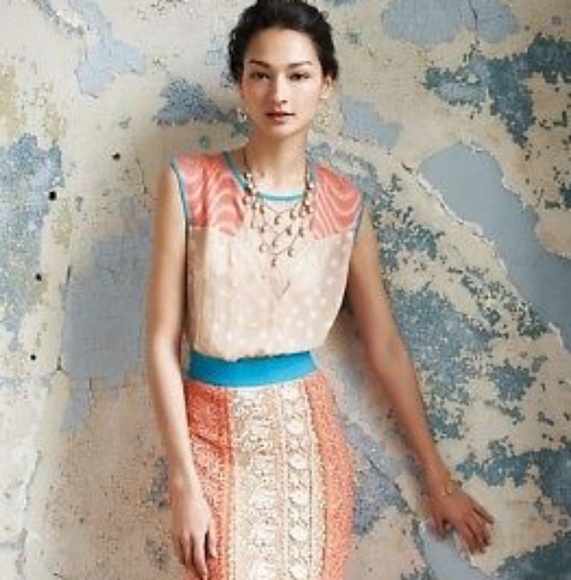 Dresses & Skirts - Champagne and Strawberries dress 6